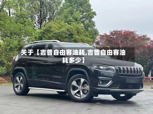 关于【吉普自由客油耗,吉普自由客油耗多少】-第3张图片