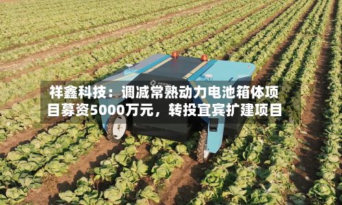 祥鑫科技：调减常熟动力电池箱体项目募资5000万元	，转投宜宾扩建项目-第2张图片