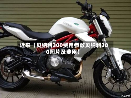 近来【贝纳利300费用参数贝纳利300图片及费用】-第3张图片