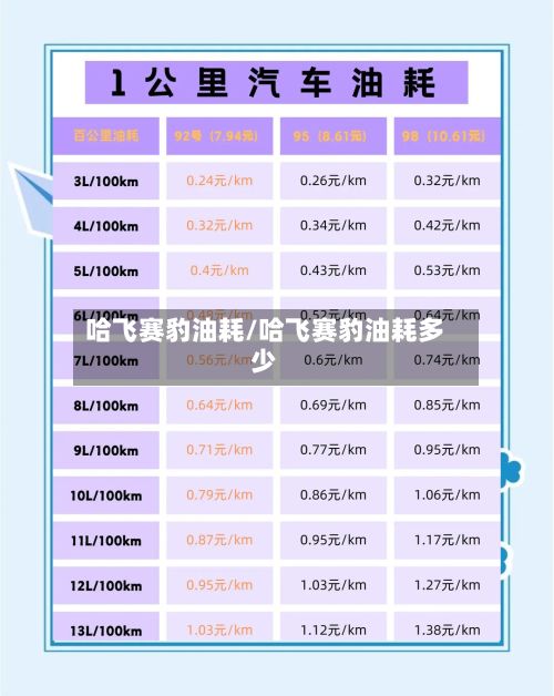 哈飞赛豹油耗/哈飞赛豹油耗多少