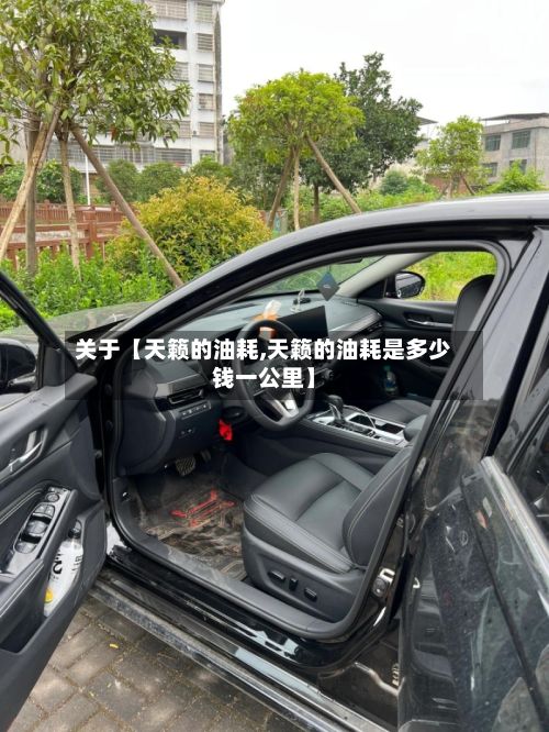 关于【天籁的油耗,天籁的油耗是多少钱一公里】