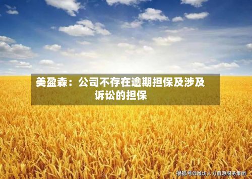美盈森：公司不存在逾期担保及涉及诉讼的担保-第2张图片