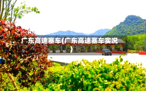 广东高速塞车(广东高速塞车实况)