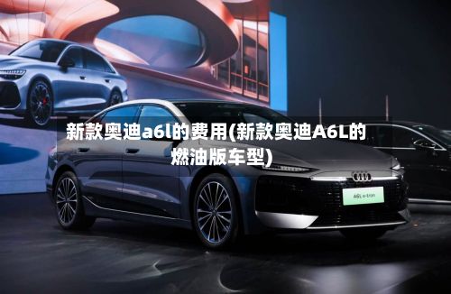 新款奥迪a6l的费用(新款奥迪A6L的燃油版车型)-第3张图片