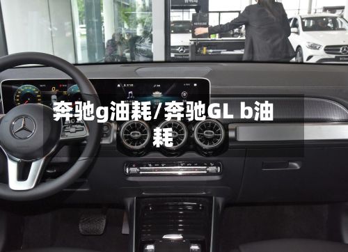 奔驰g油耗/奔驰GL b油耗-第2张图片