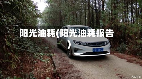 阳光油耗(阳光油耗报告)