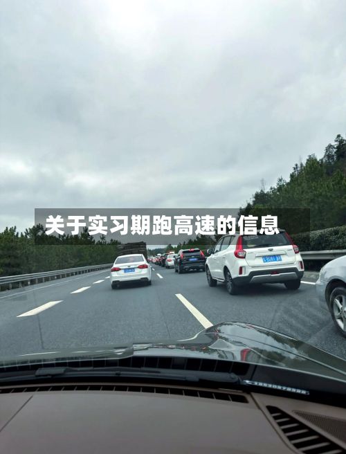 关于实习期跑高速的信息