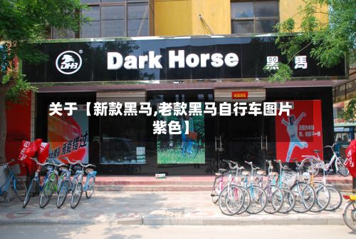 关于【新款黑马,老款黑马自行车图片紫色】