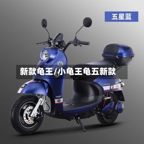 新款龟王/小龟王龟五新款-第3张图片