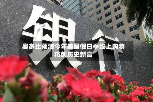 奥多比预测今年美国假日季线上购物将创历史新高-第2张图片