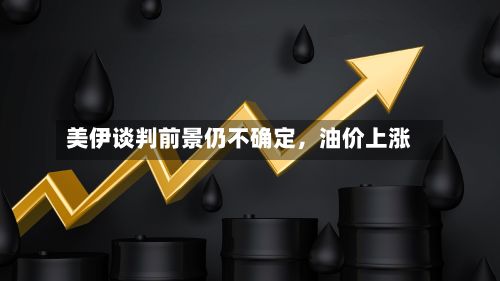 美伊谈判前景仍不确定，油价上涨