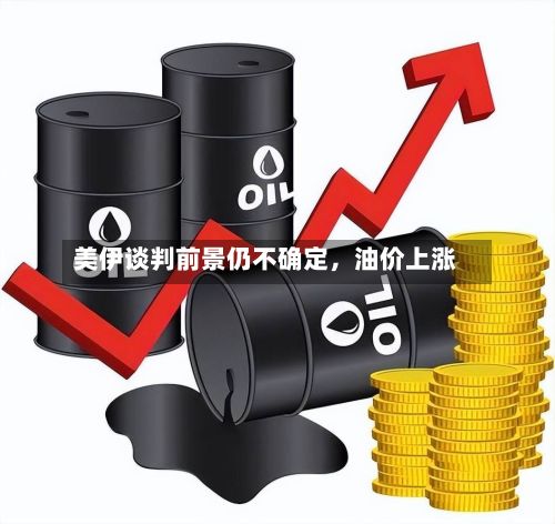 美伊谈判前景仍不确定	，油价上涨-第2张图片