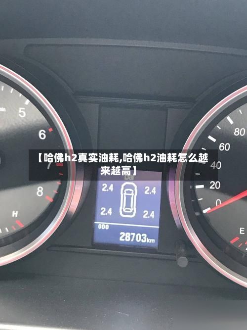 【哈佛h2真实油耗,哈佛h2油耗怎么越来越高】-第2张图片