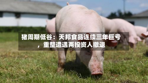 猪周期低谷：天邦食品连续三年巨亏，重整遭遇两投资人撤退-第3张图片