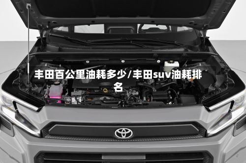 丰田百公里油耗多少/丰田suv油耗排名