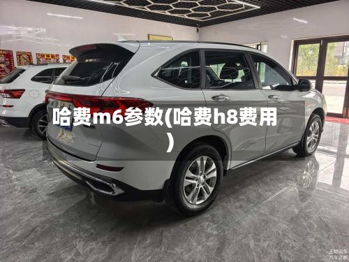 哈费m6参数(哈费h8费用)