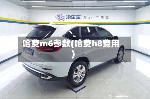 哈费m6参数(哈费h8费用)-第2张图片