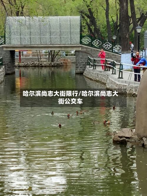 哈尔滨尚志大街限行/哈尔滨尚志大街公交车