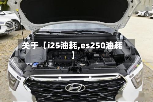 关于【i25油耗,es250油耗】