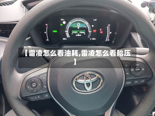 【雷凌怎么看油耗,雷凌怎么看胎压】