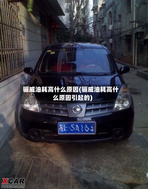 骊威油耗高什么原因(骊威油耗高什么原因引起的)-第1张图片