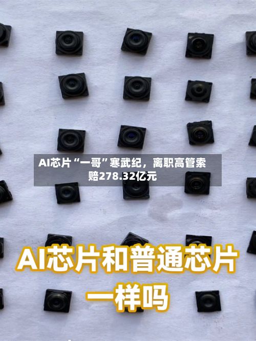 AI芯片“一哥	”寒武纪，离职高管索赔278.32亿元-第3张图片