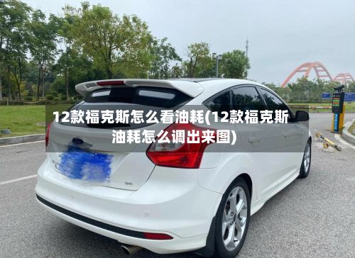 12款福克斯怎么看油耗(12款福克斯油耗怎么调出来图)