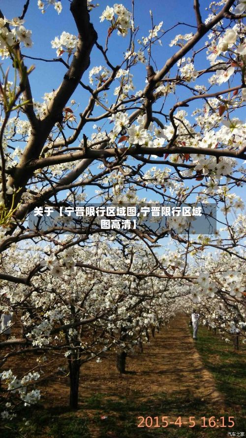 关于【宁晋限行区域图,宁晋限行区域图高清】