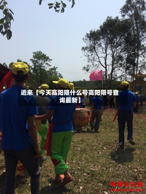 近来【今天高阳限什么号高阳限号查询最新】