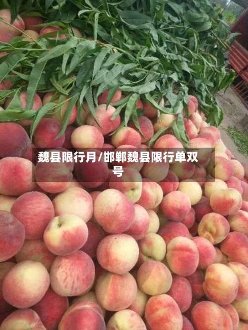魏县限行月/邯郸魏县限行单双号