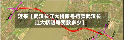 近来【武汉长江大桥限号罚款武汉长江大桥限号罚款多少】-第3张图片
