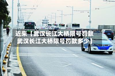 近来【武汉长江大桥限号罚款武汉长江大桥限号罚款多少】