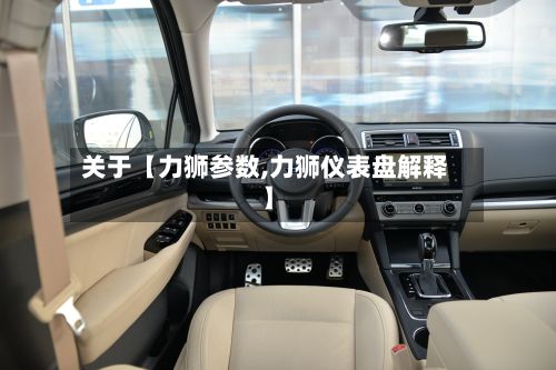 关于【力狮参数,力狮仪表盘解释】-第2张图片