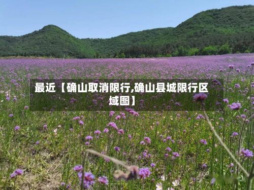 最近【确山取消限行,确山县城限行区域图】-第3张图片