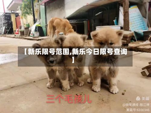 【新乐限号范围,新乐今日限号查询】