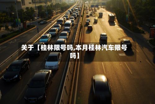 关于【桂林限号吗,本月桂林汽车限号吗】-第2张图片