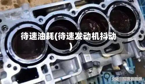待速油耗(待速发动机抖动)-第3张图片