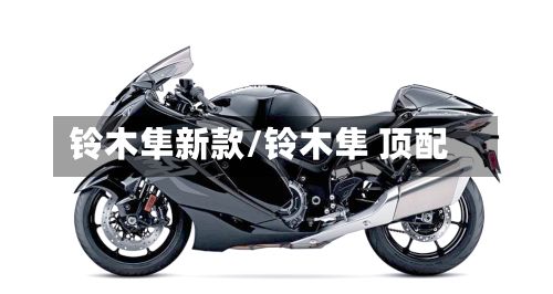 铃木隼新款/铃木隼 顶配