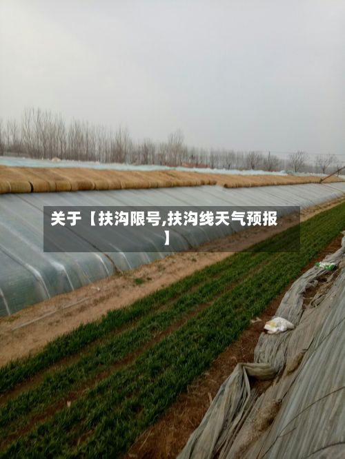 关于【扶沟限号,扶沟线天气预报】