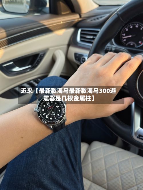 近来【最新款海马最新款海马300避震器是几根金属柱】-第2张图片