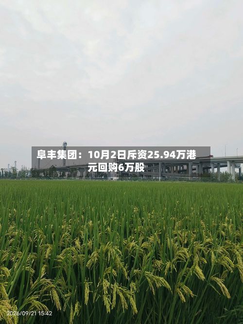 阜丰集团：10月2日斥资25.94万港元回购6万股-第2张图片