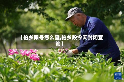 【柏乡限号怎么查,柏乡段今天封闭查询】-第2张图片