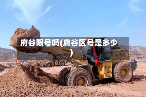 府谷限号吗(府谷区号是多少)-第2张图片