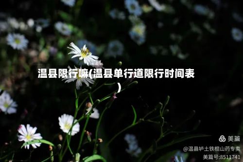 温县限行嘛(温县单行道限行时间表)