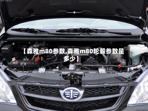 【森雅m80参数,森雅m80轮毂参数是多少】-第2张图片