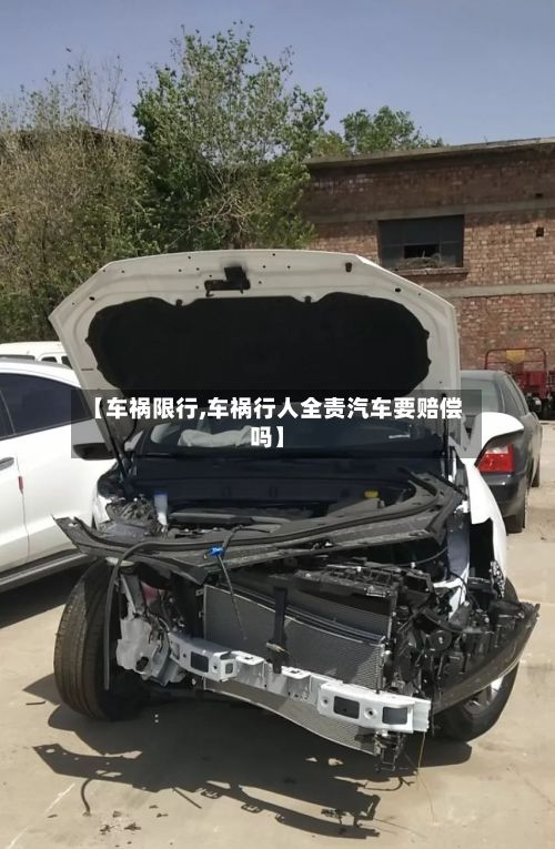 【车祸限行,车祸行人全责汽车要赔偿吗】