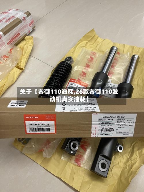 关于【睿御110油耗,26款睿御110发动机真实油耗】
