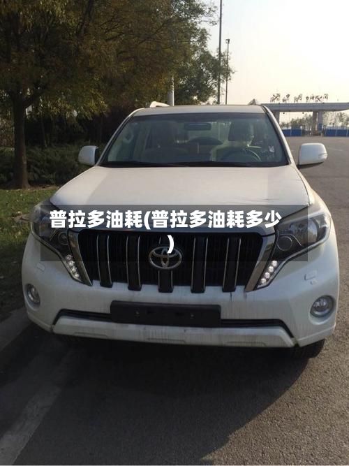 普拉多油耗(普拉多油耗多少)-第3张图片