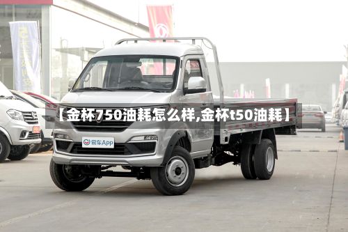 【金杯750油耗怎么样,金杯t50油耗】-第2张图片