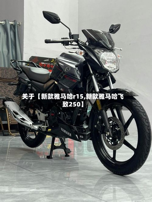 关于【新款雅马哈r15,新款雅马哈飞致250】-第2张图片